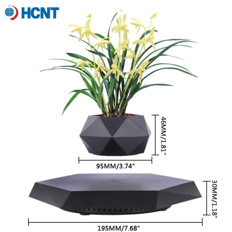Levitating Plant Flower