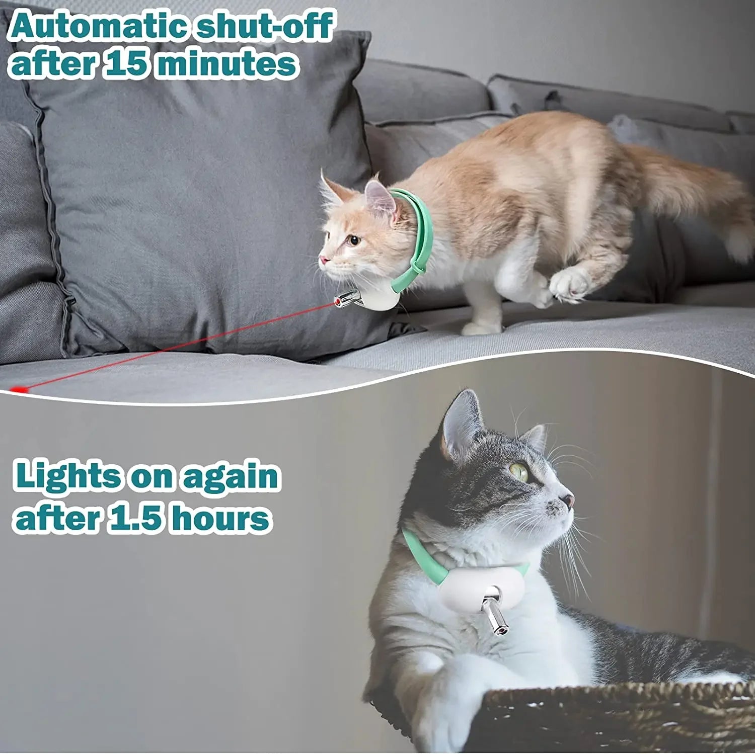 Smart Laser for Cats