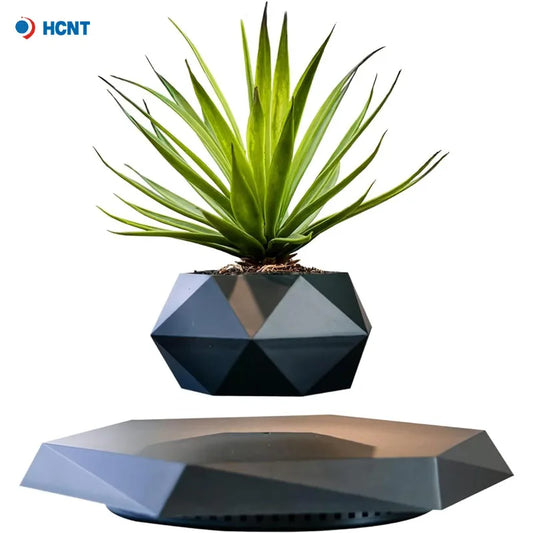 Levitating Plant Flower