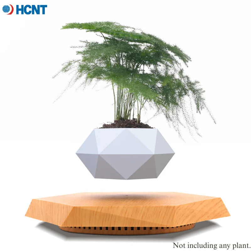 Levitating Plant Flower