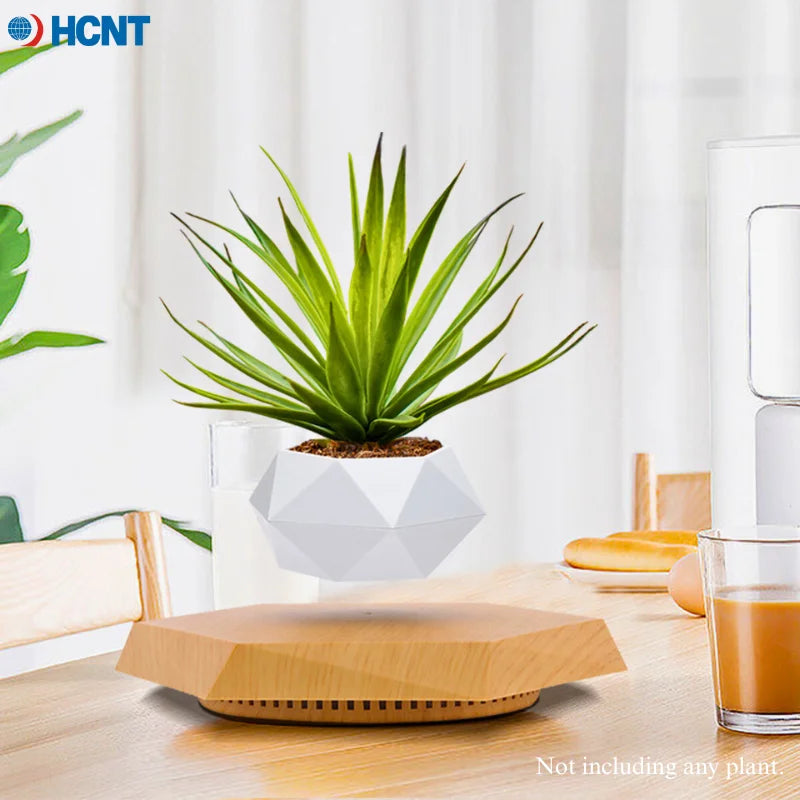 Levitating Plant Flower