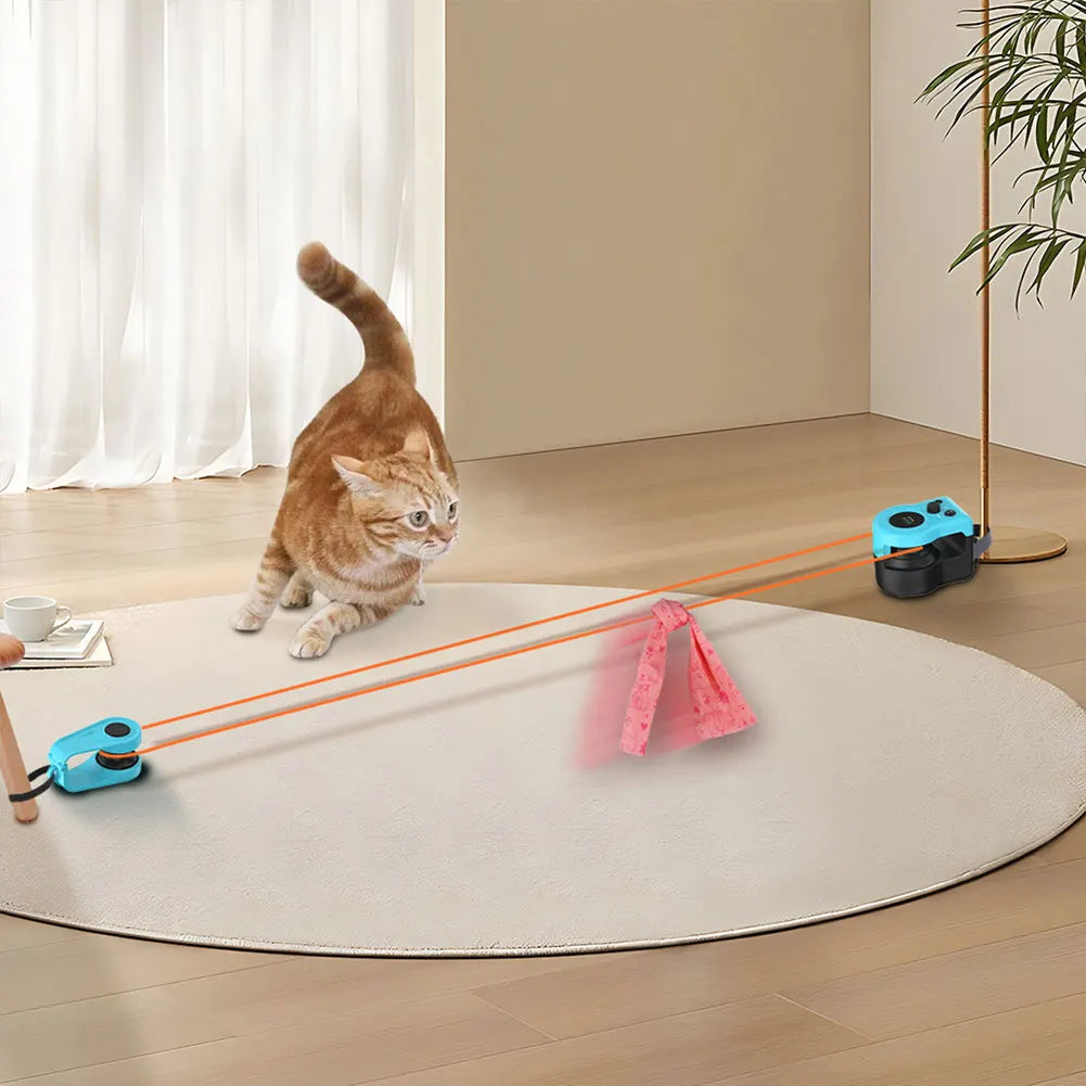 Interactive Cat Toy Chase Run Exercise