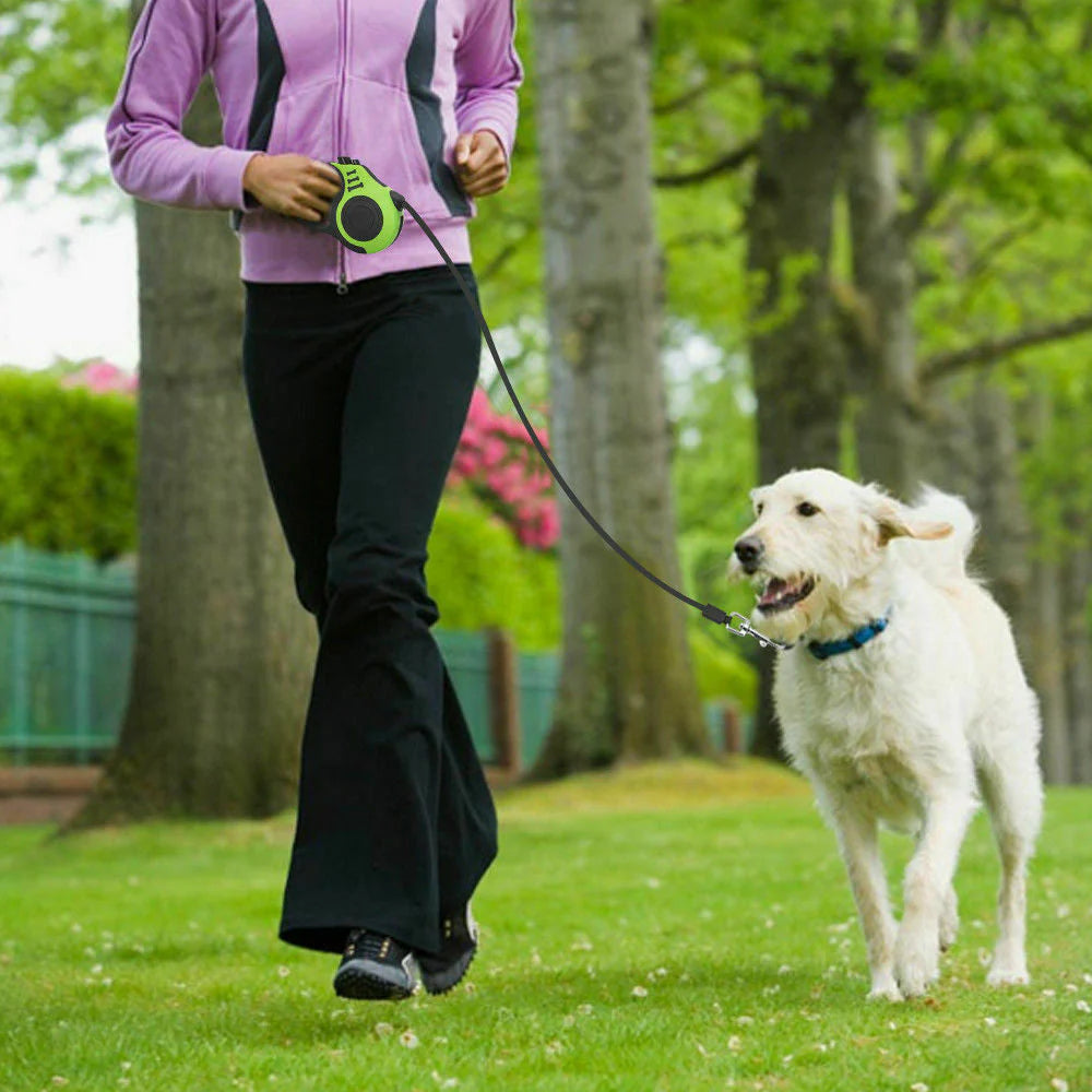 Automatic Retractable Dog Leash with Dual Size Options and Integrated Brake & Lock Safety System